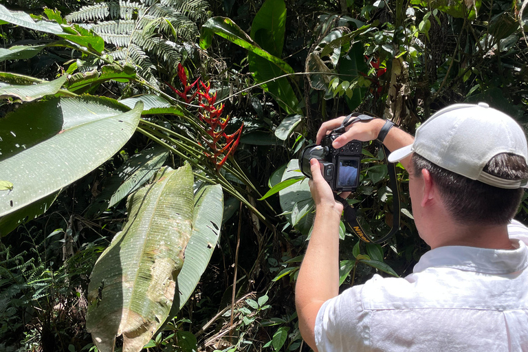 San Paolo: Escursione nella foresta atlantica con un biologoSan Paolo: Escursione di un giorno nella foresta atlantica con un biologo