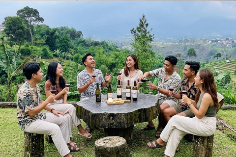 Jakarta: Bandung Volcano, Hot Springs & Wine Tasting Jakarta: Bandung Volcano, Hot Springs & Wine Day Shared Tour