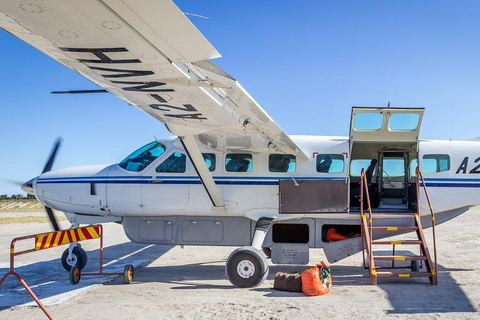 Från Zanzibar: Selous Game Reserve Dagsafari med flyg