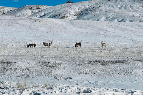 Hustai National Park Day Tour Autumn: Standard Departure