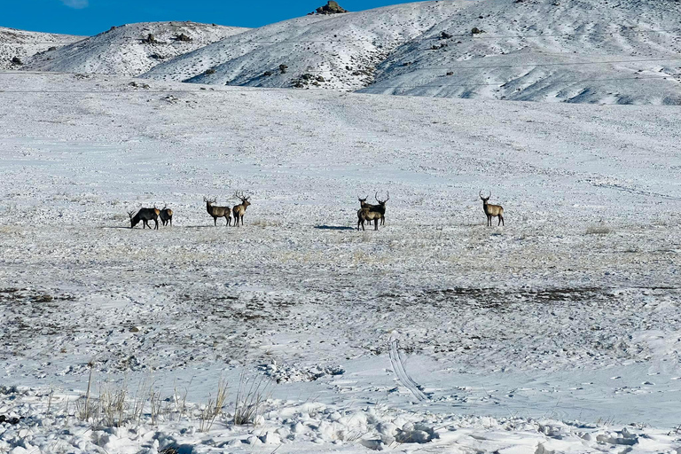 Hustai National Park Day Tour Autumn: Standard Departure