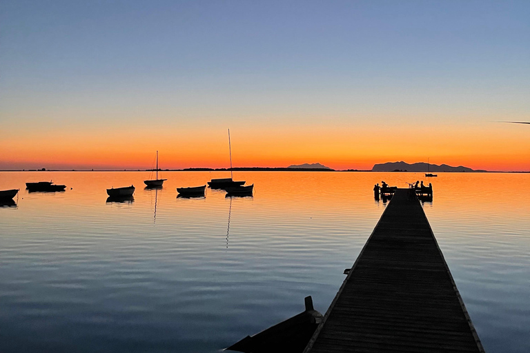 Marsala: Stagnone Lagoon Sailing Tour with Mozia Entry