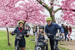 Washington DC: Kirschblütenfest-Tour mit dem Fahrrad