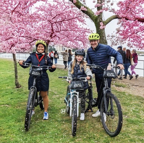 Visit Washington DC Cherry Blossom Festival Tour by Bike in Washington, D.C.