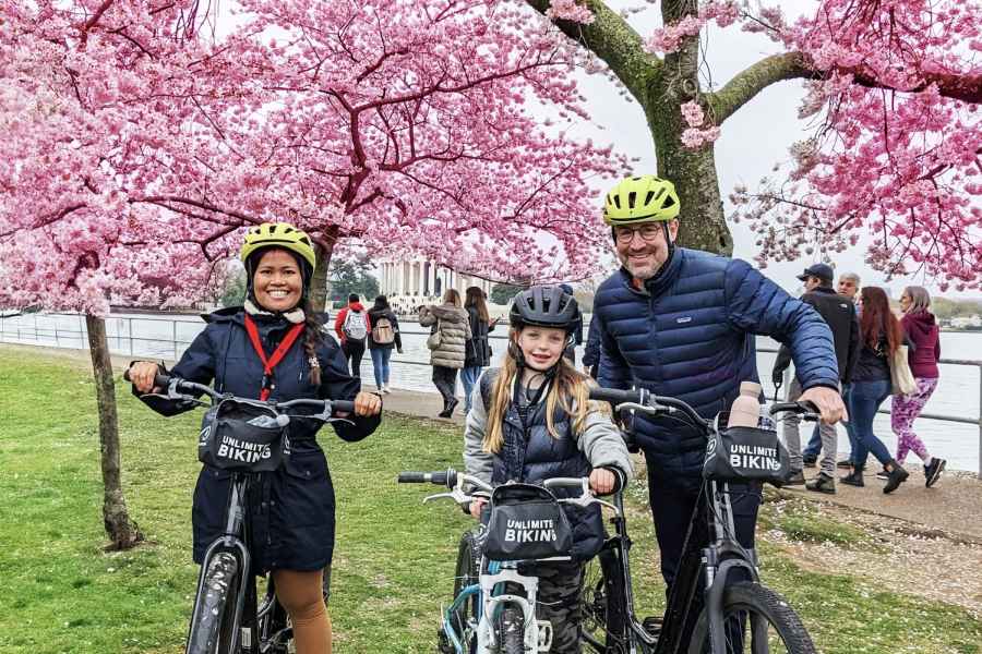 Washington DC: Kirschblütenfest-Tour mit dem Fahrrad. Foto: GetYourGuide