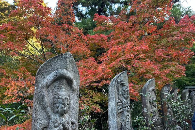 Hiroshima &amp; Miyajima UNESCO 1 dag bustourVanaf JR Hiroshima Station (zonder lunch)