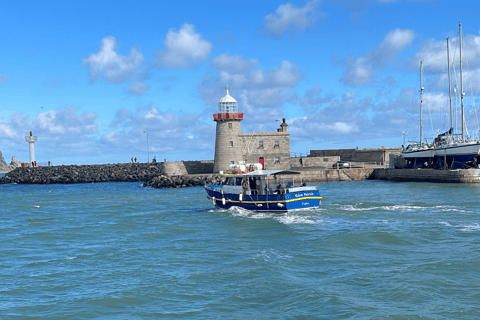 Dublin : Tour en bateau de la baie de Dublin et de l&#039;œil de l&#039;Irlande