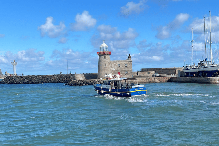 Dublin: Dublin Bay and Ireland&#039;s Eye Boat Tour