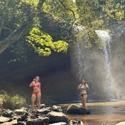 Byron Bay: Half-Day Waterfall Eco-Tour with Swim & Wildlife