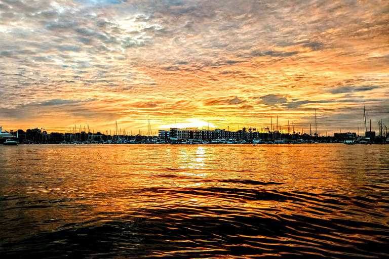 Marina Del Rey: Boat Cruise w/Wine &amp; Charcuterie or DinnerDinner Option