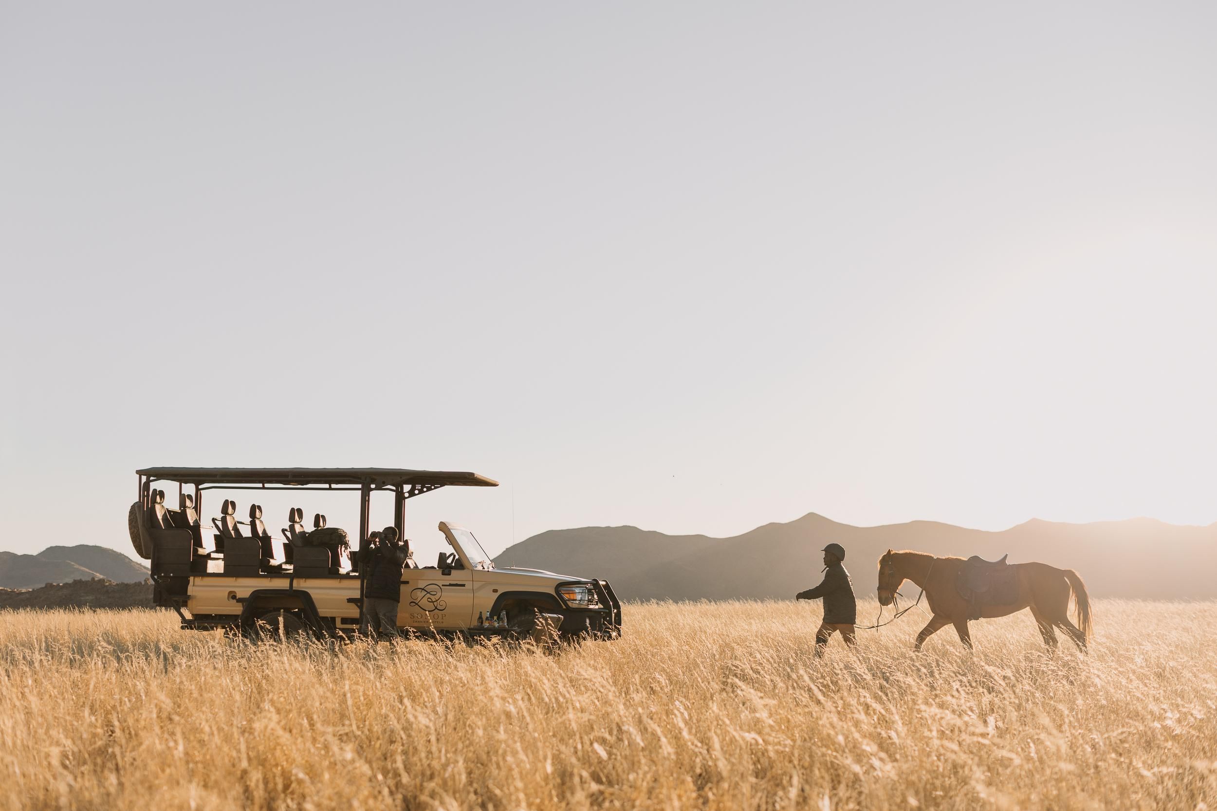 Zannier Game Drive mit Abholung vom Hotel