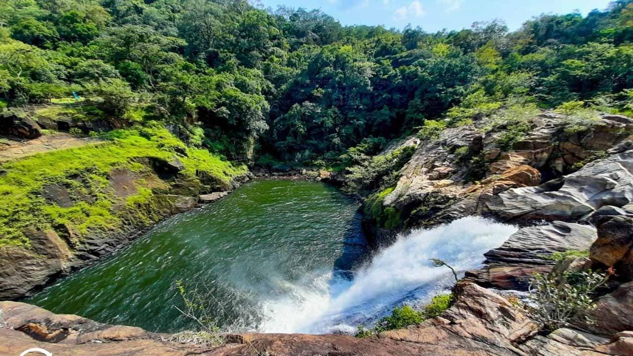 Von Galle/Weligama/Mirissa/Matara: Tagestour nach Sinharaja