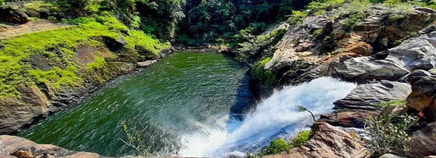 Depuis Galle/Weligama/Mirissa/Matara : excursion d'une journée à Sinharaja