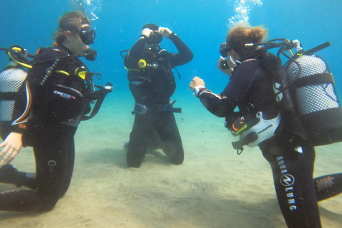 Diving baptism in Puerto de Carmen 2 Dives. Free photos