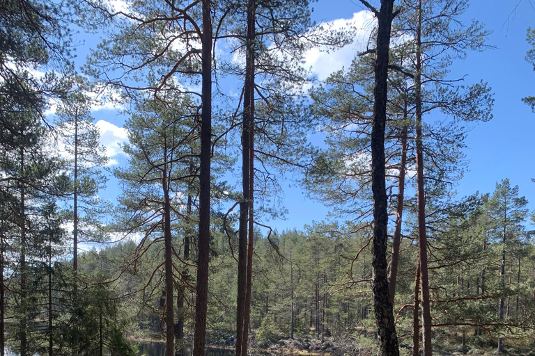 Oslo: escursione guidata nel Parco Nazionale di Østmarka con cibo cotto sul fuocoOslo: escursione guidata al Parco Nazionale di Østmarka con cibo sul fuoco