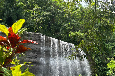 Chasing Waterfalls Grenada : Découvrir les joyaux cachés de la nature