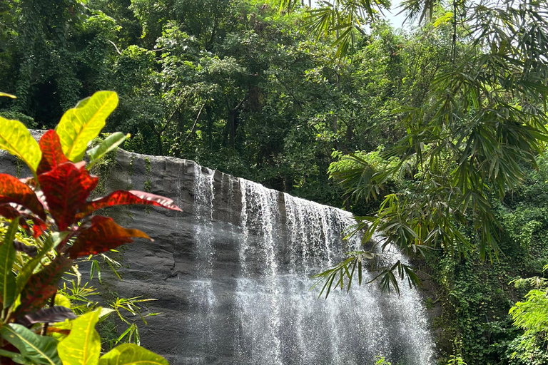 Chasing Waterfalls Grenada : Découvrir les joyaux cachés de la nature
