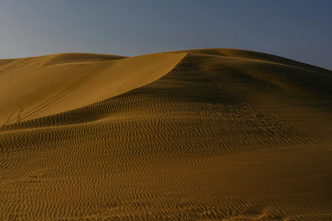 Doha: Sunset Desert Safari, Dune Bashing with dinner at Souq