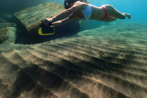 Nice, Beaulieu Sur Mer: Snorkling med havsskoter