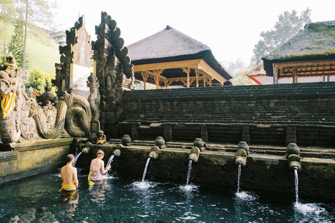 Ubud: Zip-Line, Sacred Temple, and Monkey Forest Tour Private Tour without Entry Ticket