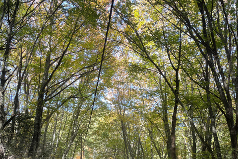 Thessaloniki: Hiking the Ice Makers’ Trail