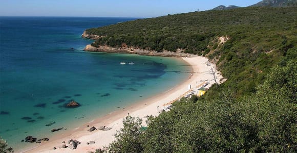 From Lisbon: Arrábida, Sesimbra, and Tróia Beaches with Private Driver