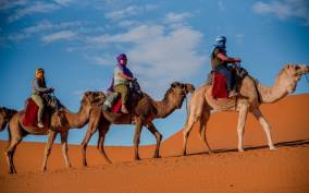 From Fez: 3-Day Desert Tour to Merzouga and Marrakech