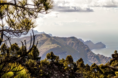 Gran Canaria: Excursión Destacada, senderismo en el bosque de LauerMaspalomas: Excursión con senderismo por el bosque de Lauer