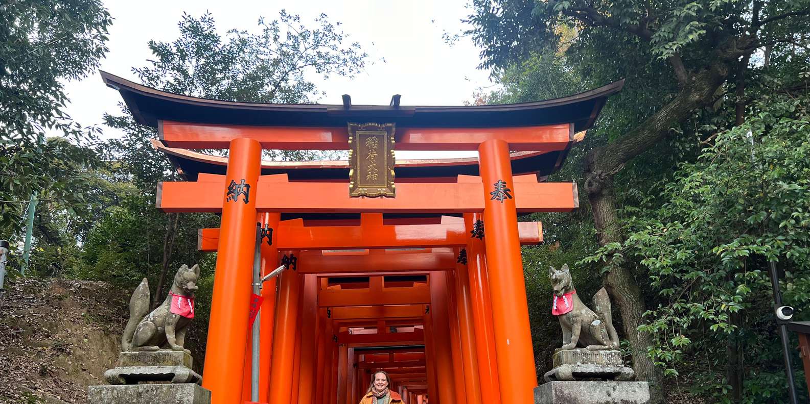 Kyoto experience — temples, geisha, bamboo grove — image 13