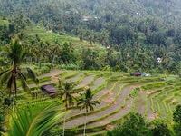 North Bali , Discover Sekumpul Waterfall & Ulun Danu Temple - Housity