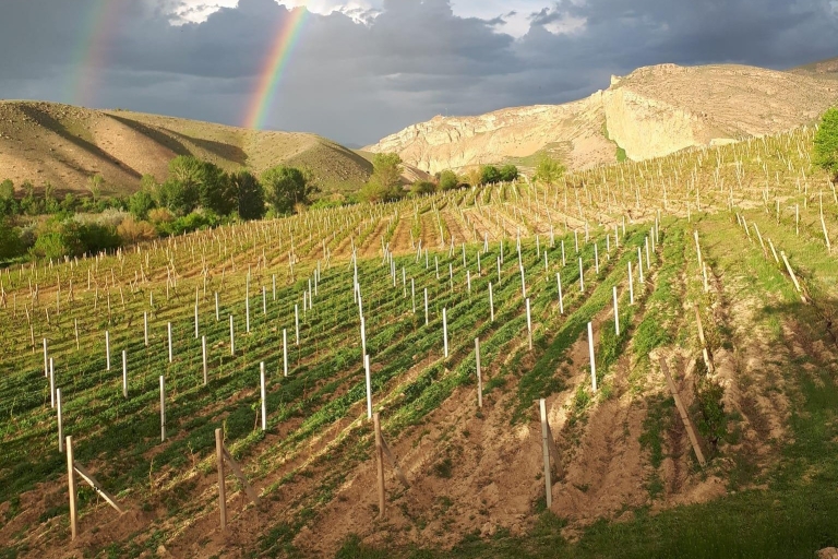 Vayots Dzor Wine Route Day Tour, discover Areni's Wineries