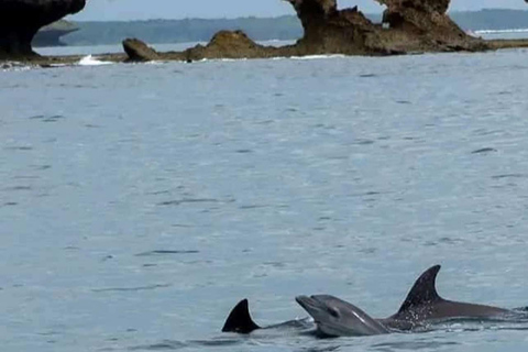 Wasini island: Marine Park, Dolphin Watch & Village Tour