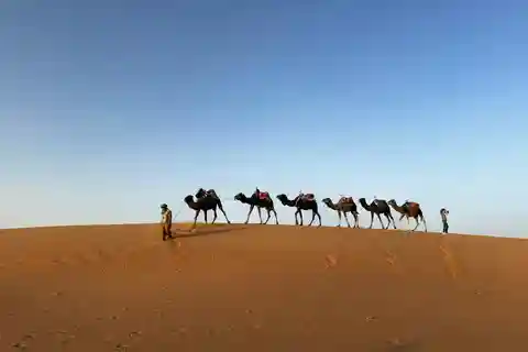 Fra Marrakech: 3-dagers Merzouga-ørkensafari til Fes