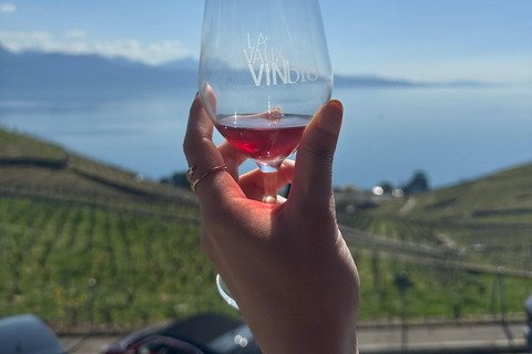 Lavaux Wine and Vineyard Experience with Boat Cruise