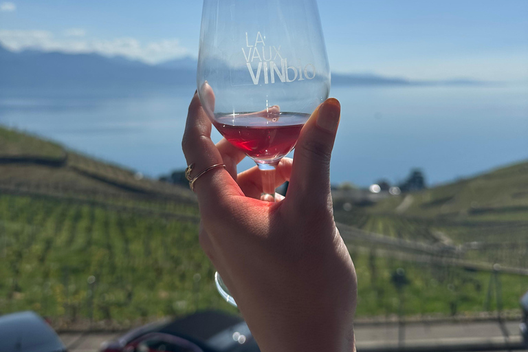 Lavaux Wine and Vineyard Experience with Boat Cruise