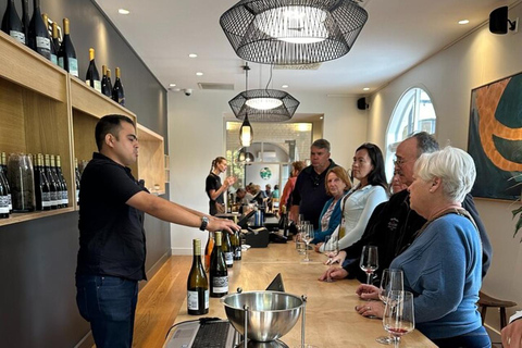 From Wellington: Wētā Workshop & Martinborough Wine Tour