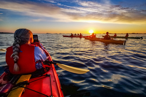 إيجوم: جولة جزر لوفوتن منتصف الليل صن كاياك