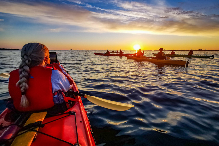 إيجوم: جولة جزر لوفوتن منتصف الليل صن كاياك