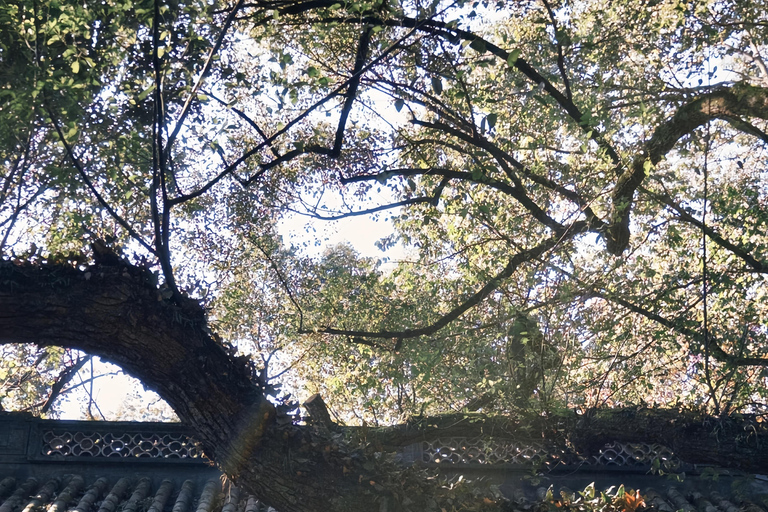 From Shanghai: West Lake & Longjing Tea Village Private Tour