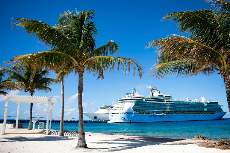 Negril: VIP Jamaica Airport Welcome Experience