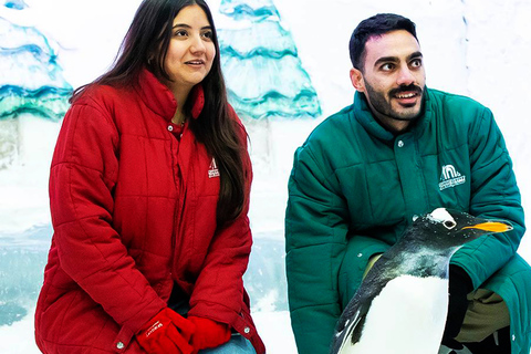 Dalle piramidi ai pinguini: Avventura sulla sabbia e sulla neve al Cairo
