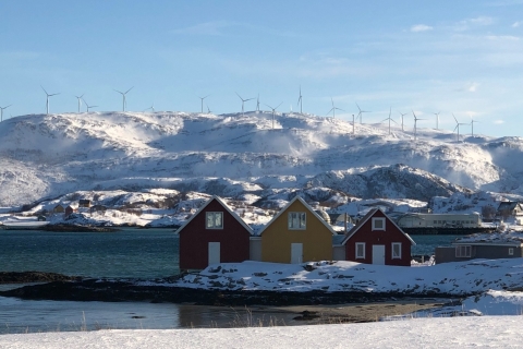 Tromsø. Recorrido por fiordos e islas, incluida Sommarøy.Islas Sommarøy
