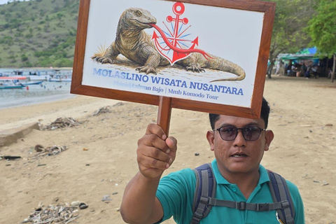 Komodo Island Shore Excursion for Cruise Ship Passengers
