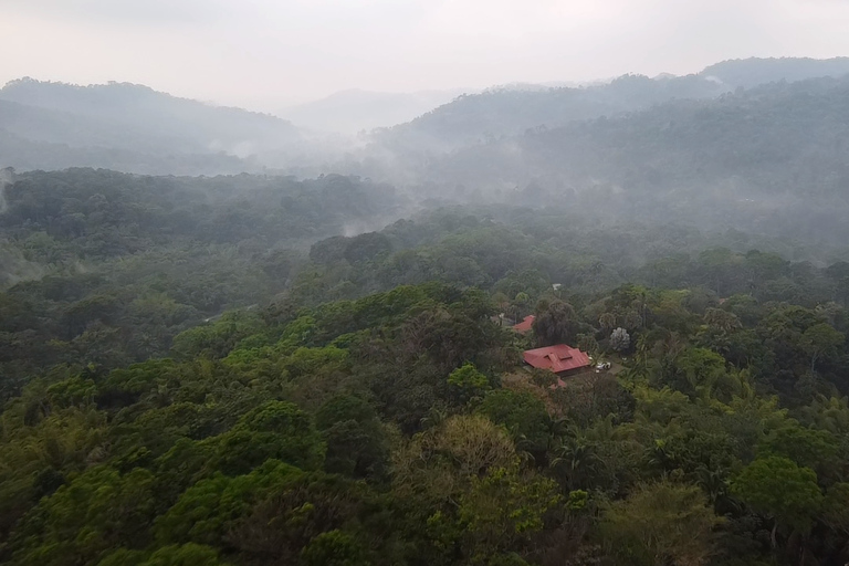 Tapachula: The Chiapas Coffee Route Tapachula: The Coffee Route in Chiapas