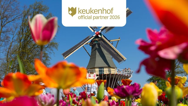 From Amsterdam: Keukenhof and Zaanse Schans Day Trip