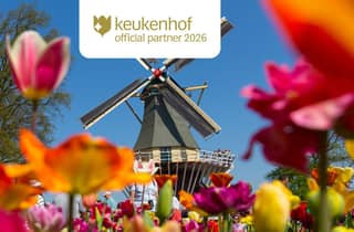 Ab Amsterdam: Tagestour Keukenhof und Zaanse Schans