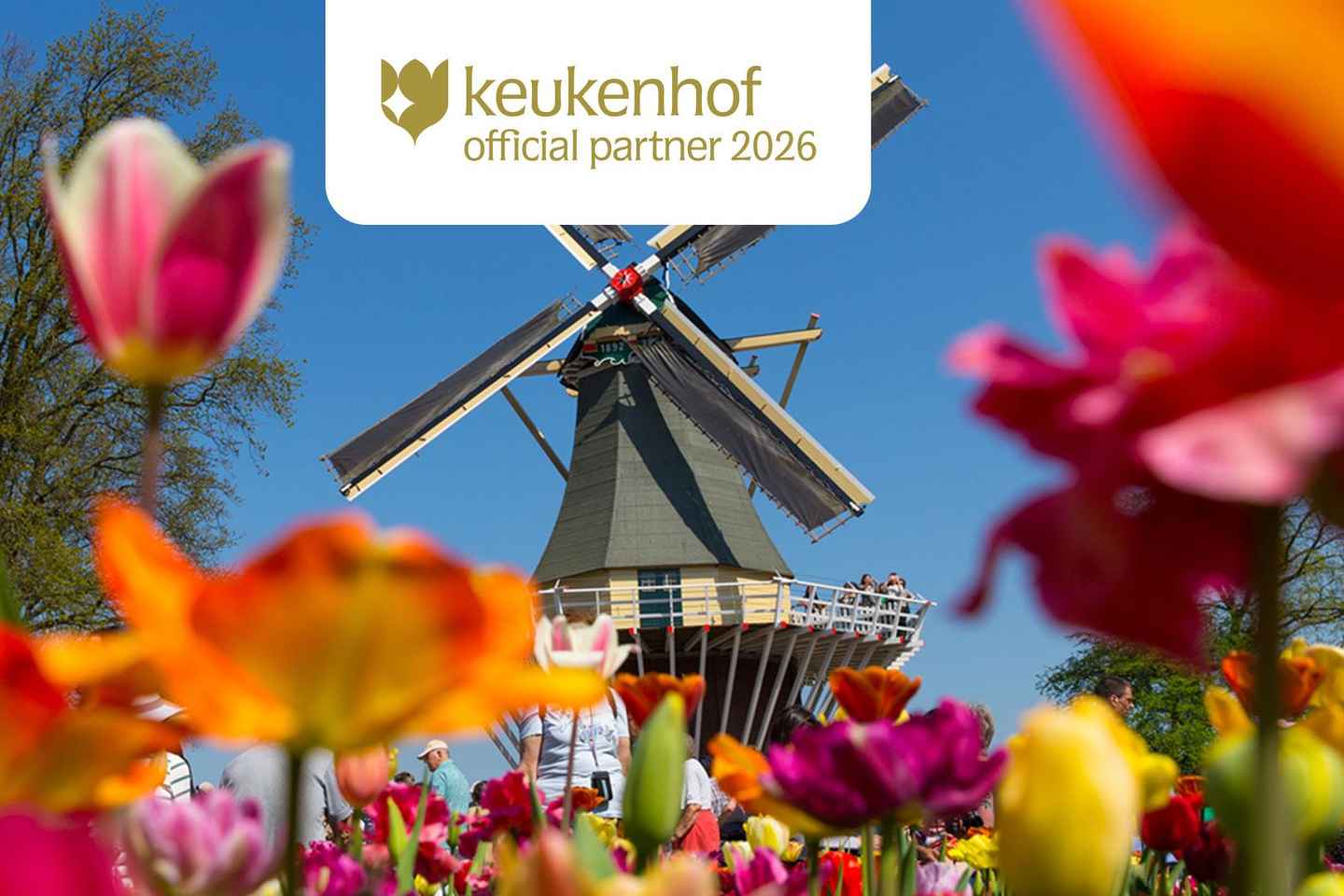 Depuis Amsterdam : Visite Keukenhof et Campagne Hollandaise