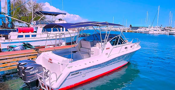 San Juan: Sunset Cruise & Swim Tour, Groups 7-10