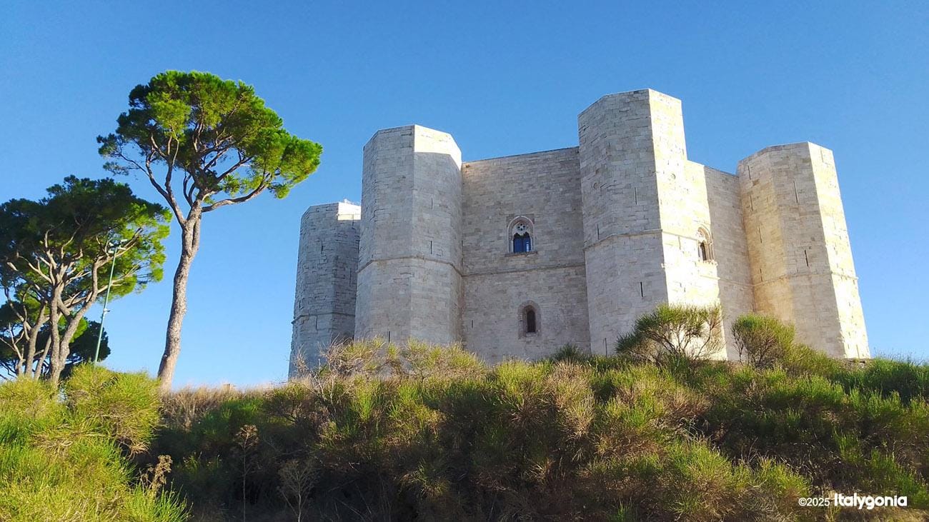 Otranto: Exklusive Tagestour nach Trani & Castel del Monte