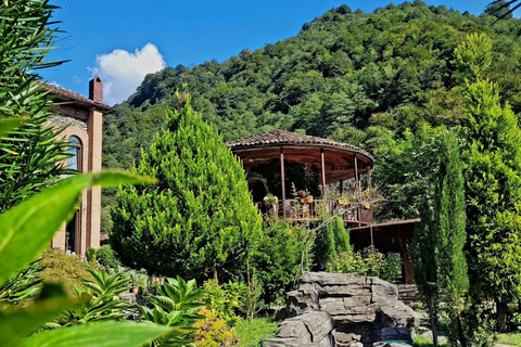 Adjara: Vineyard Tour with Wine Tasting and Lunch